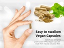 dr-wakdes-punarnava-capsules-boerhavia-d-5.jpg