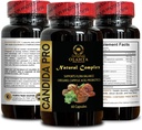 candida-support-complex---natural-candid-4.jpg