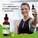 mullein-leaf-liquid-extract-2-fl-oz-pack-4.jpg
