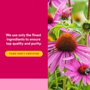 natural-factors-echinamide-echinacea-sup-5.jpg