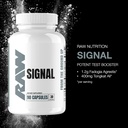 raw-signal-fadogia-agrestis-tongkat-ali--2.jpg