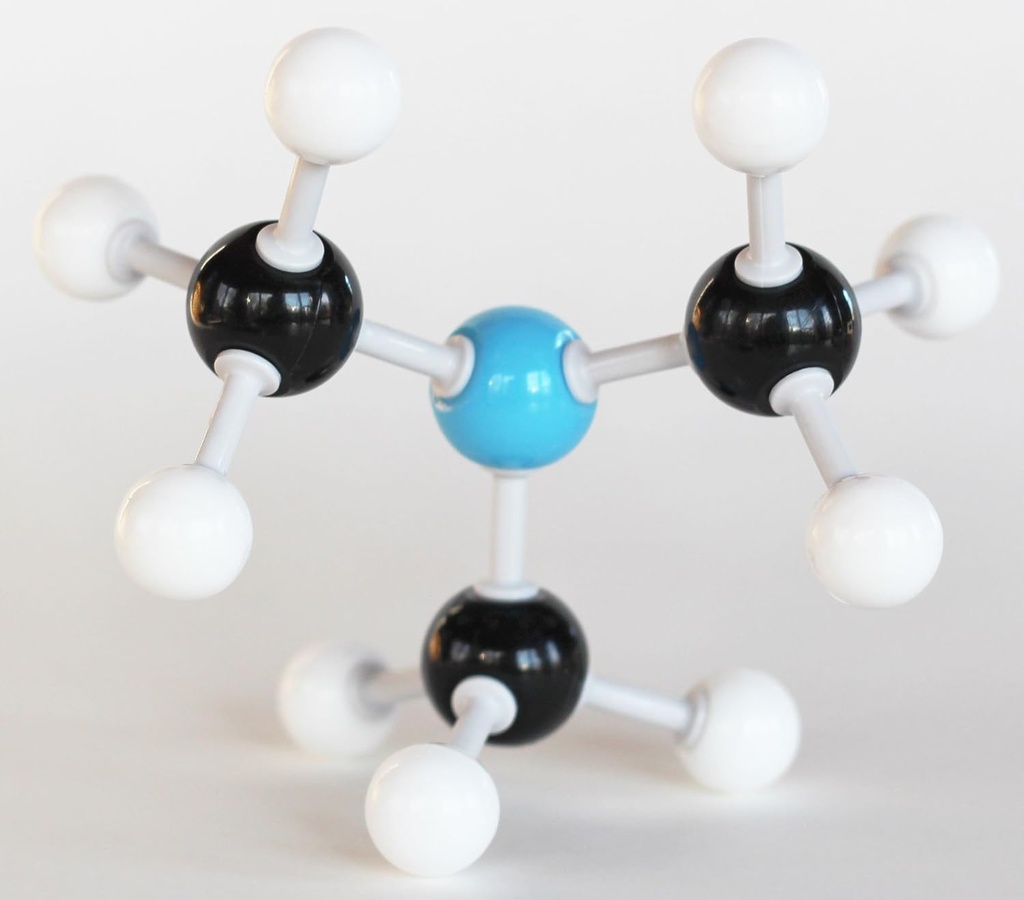 organic-chemistry-molecular-model-studen-6.jpg
