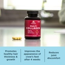 ancient-nutrition-collagen-peptides-caps-4.jpg