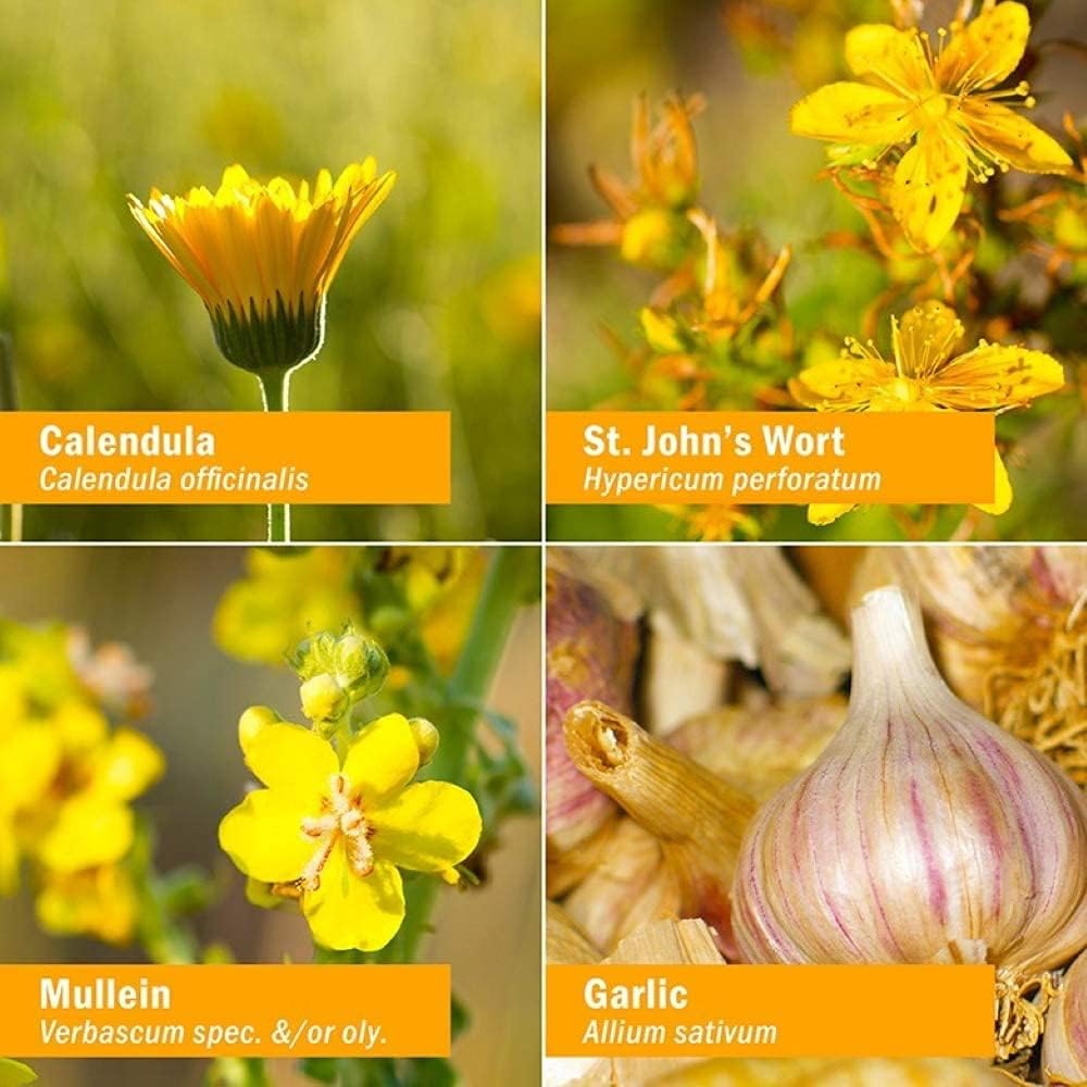 herb-pharm-kids-mullein-garlic-oil-and-b-4.jpg