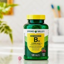 vitamin-b12-quick-dissolve-tablets-dieta-4.jpg