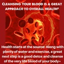 natural-blood-cleanser-organic-supplemen-5.jpg