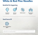 north-american-herb-spice-pine-power-plu-3.jpg