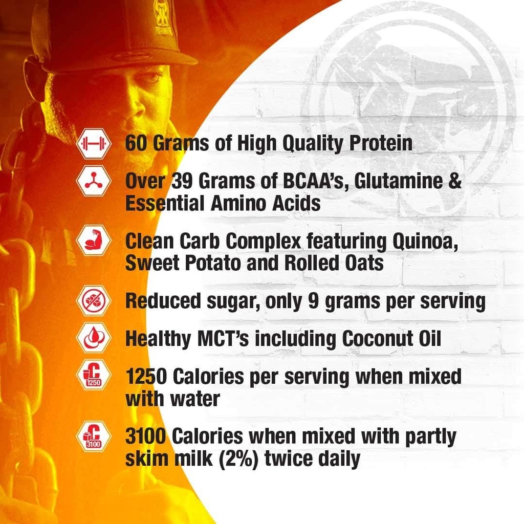 inter-active-nutrition-mammoth-mass-supp-2.jpg