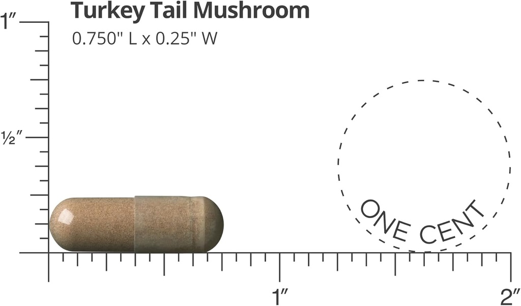 doctors-preferred-turkey-tail-mushroom-s-3.jpg