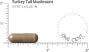 doctors-preferred-turkey-tail-mushroom-s-3.jpg