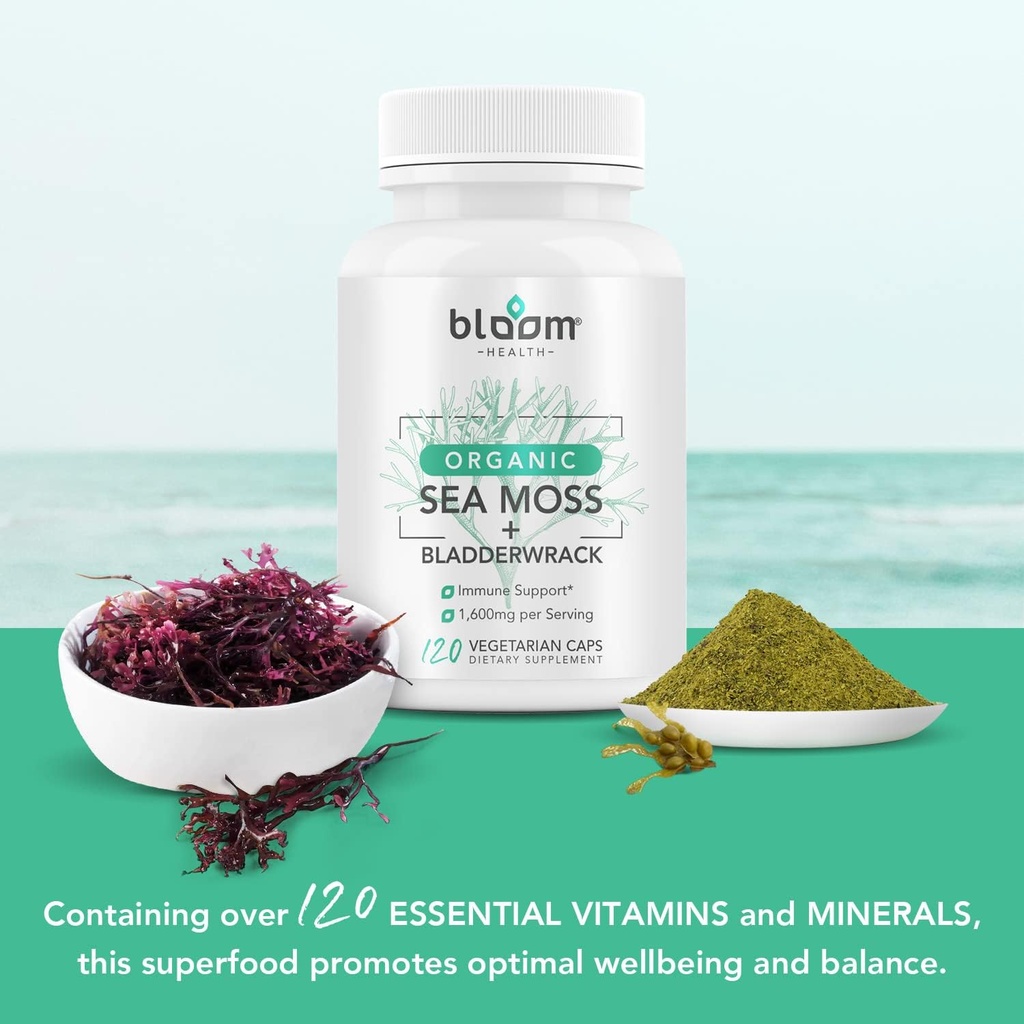 sea-moss-supplement---natural-irish-moss-2.jpg