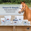 smart-simple-taurine-powder-horse-supple-6.jpg