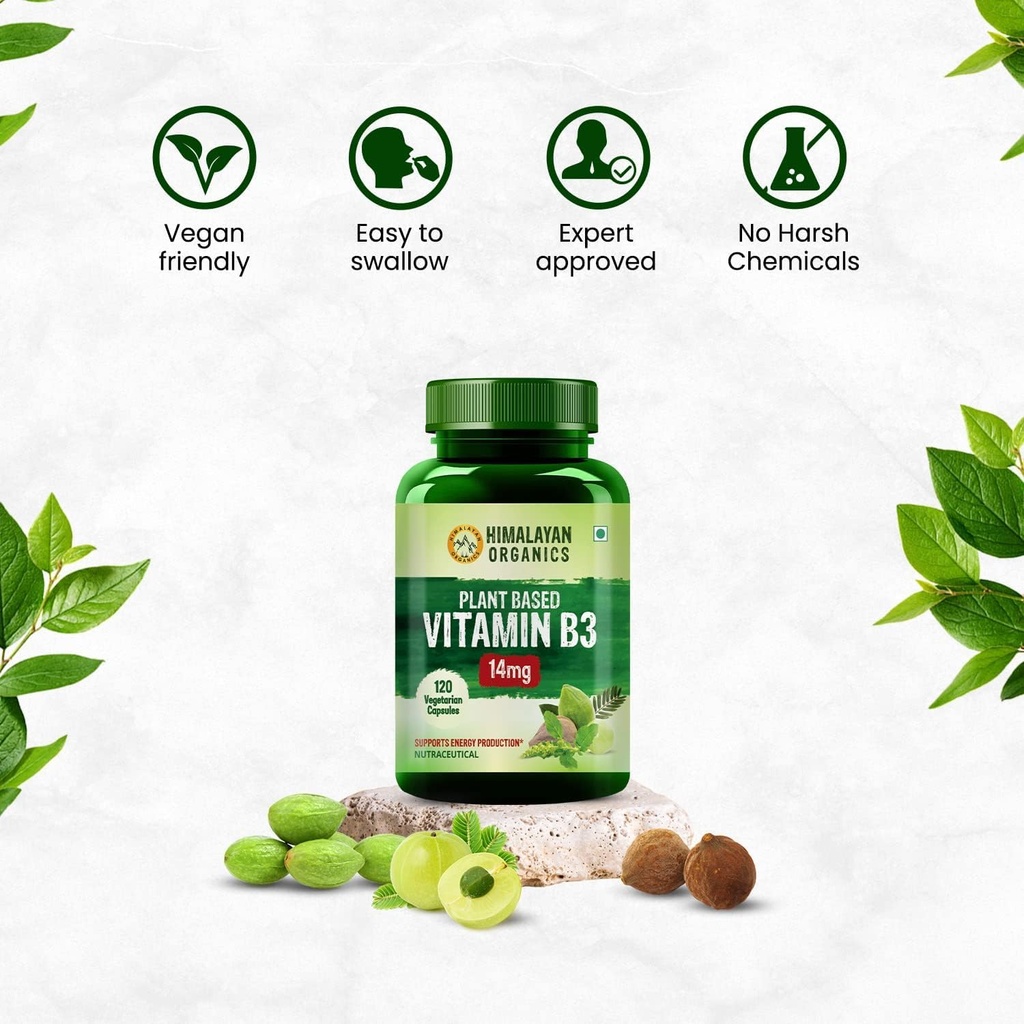 generic-plant-based-vitamin-b3-supports--4.jpg