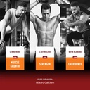 nitric-oxide-support-pills---natural-wor-6.jpg