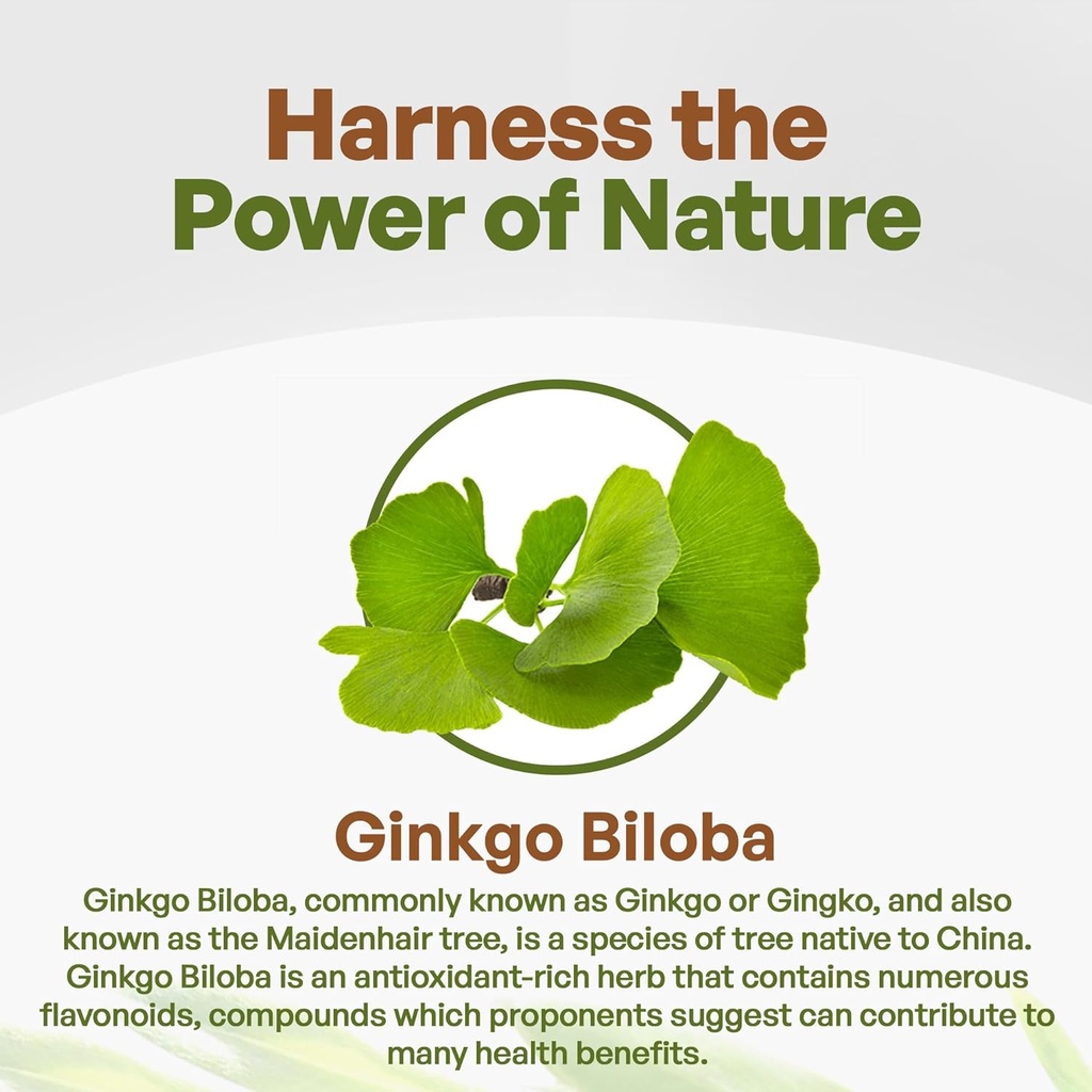 go-nutra-ginkgo-biloba-powder-8-oz-pure--2.jpg