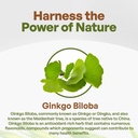 go-nutra-ginkgo-biloba-powder-8-oz-pure--2.jpg