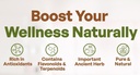 go-nutra-ginkgo-biloba-powder-8-oz-pure--4.jpg