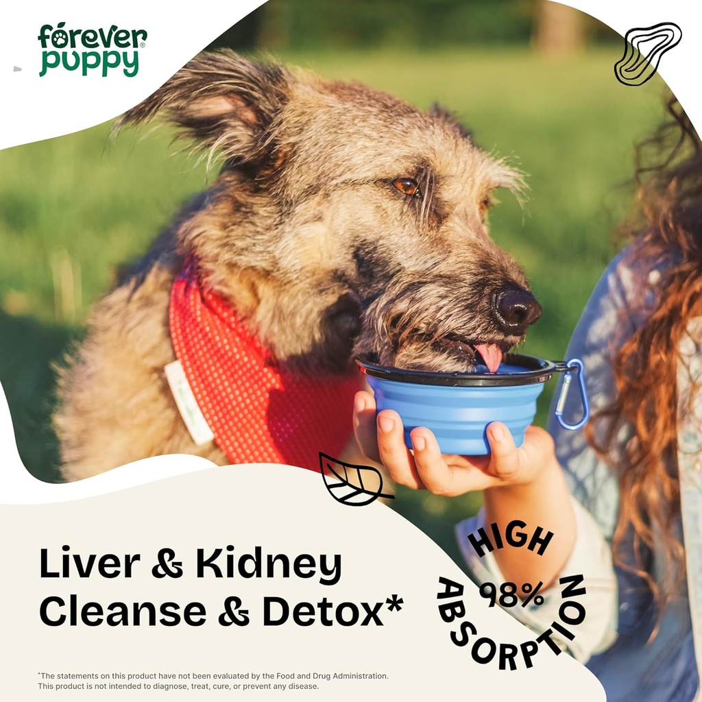 forever-puppy-detox-drops-for-dogs---dan-2.jpg