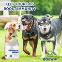 probiotics-for-dogs---improve-itchy-skin-5.jpg