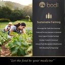 bodi-bromelain-powder-2400gdu-extract-2o-4.jpg