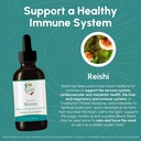 reishi-tincture---nervous-immune-system--2.jpg