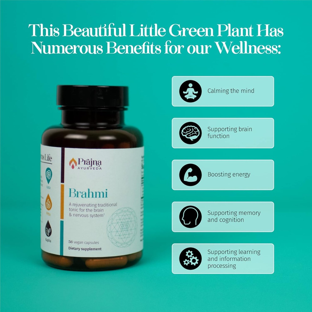 dr-chaudharys-prajna-ayurveda-brahmi-bac-4.jpg