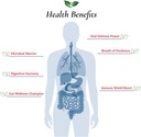 foods-for-gut-histamine-d-lactate-free-p-3.jpg