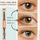 usda-organic-castor-oil-lash-serum---pre-2.jpg