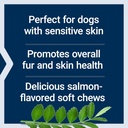 life-extension-dog-skin-coat---dog-food--4.jpg