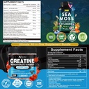 sea-moss-creatine-monohydrate-gummies-bu-2.jpg