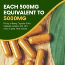 imuty-plus-support-immune-system-dietary-5.jpg