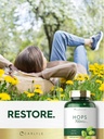 carlyle-hops-supplement-700mg-180-capsul-6.jpg