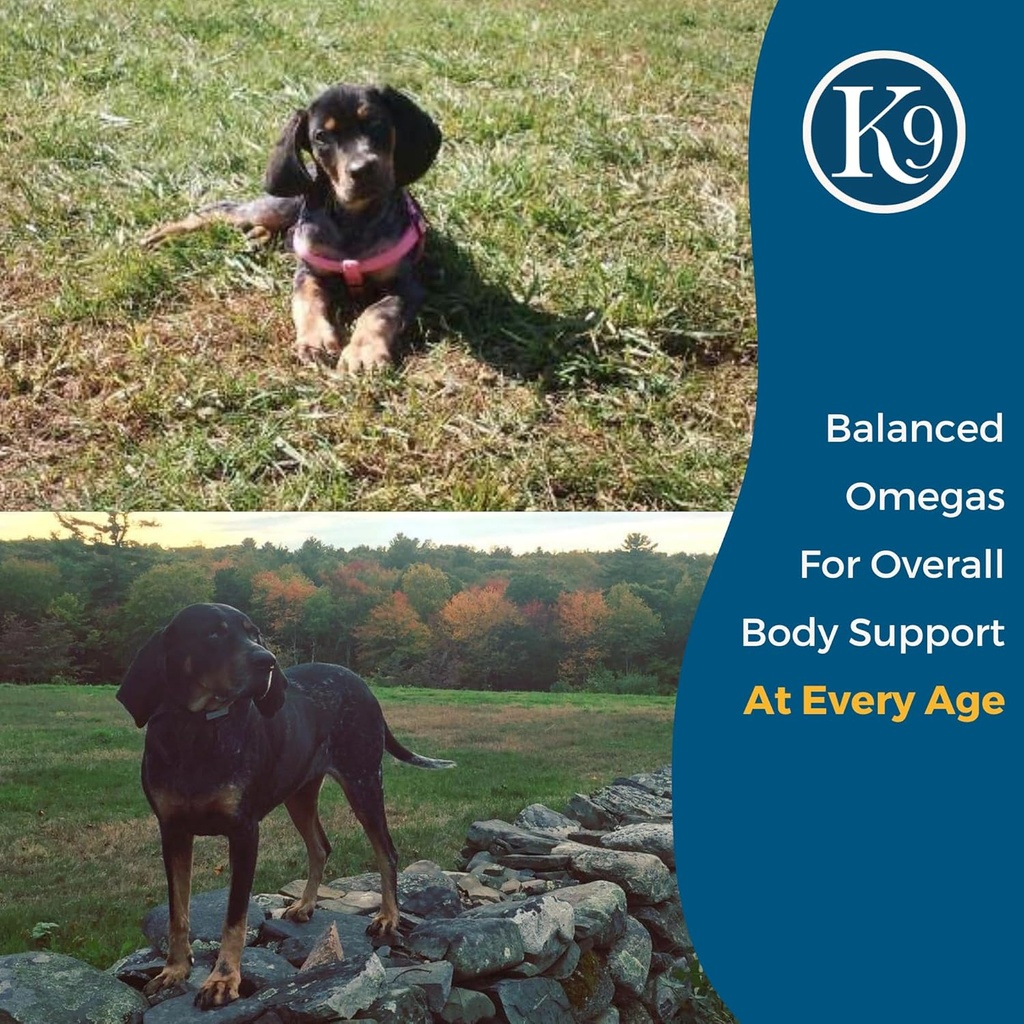 excel-supplements-canine-supplement---do-4.jpg