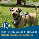 excel-supplements-canine-supplement---do-5.jpg