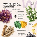 super-fruit-super-greens-and-sea-moss-gu-5.jpg