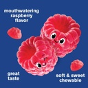 wellyeah-kids-phosphatidylserine-gummies-4.jpg