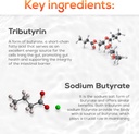 invita-tributyrin-complete-butyrate-supp-3.jpg