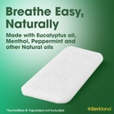 extra-strength-20-pack-menthol-eucalyptu-5.jpg
