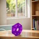 purple-pill-case---7-day-weekly-pill-org-6.jpg