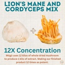 body-mind---pure-organic-lions-mane-cord-4.jpg