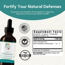 astragalus-tincture---immune-system-supp-4.jpg