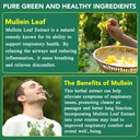 mullein-gummies-for-lung-cleansenatural--3.jpg