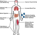 krampade-fiber-supplement-electrolytes-p-3.jpg