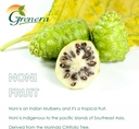 grenera-noni-fruit-capsules-120-count-no-6.jpg
