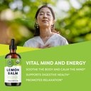 vimergy-immune-support-bundle-propolispu-3.jpg