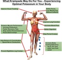 krampade-electrolytes-powder-potassium-s-4.jpg