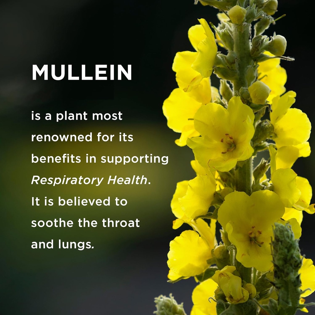 effective-nutra-9in1-mullein-gummies-lun-6.jpg