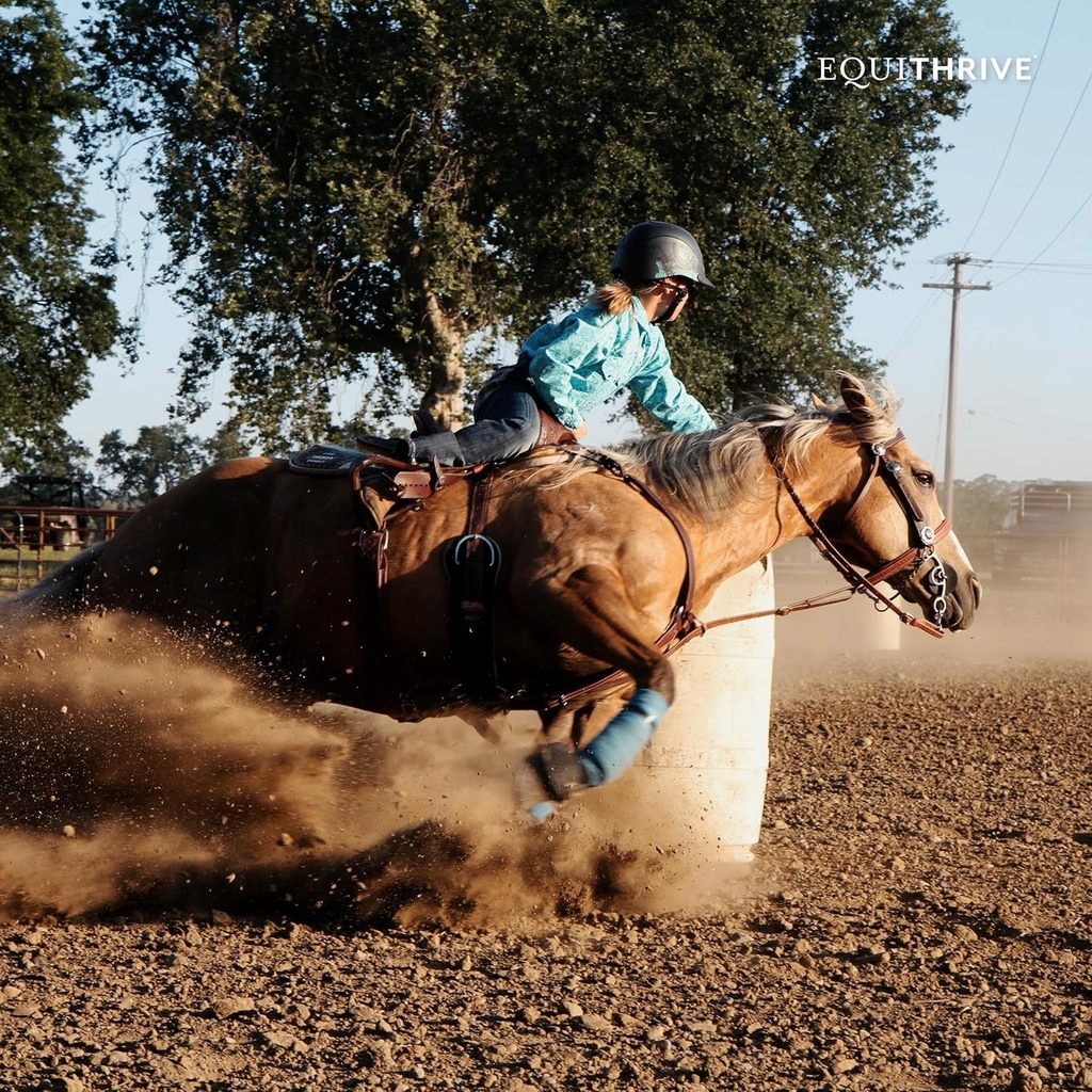 equithrive-horse-electrolyte-pellets-vit-4.jpg