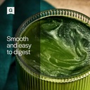 gainful-daily-performance-greens-powder--6.jpg