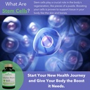 celulas-madre-stem-cell-enhancer-non-gmo-3.jpg